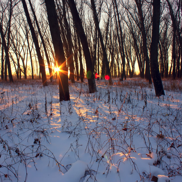 冬天日落图片下载