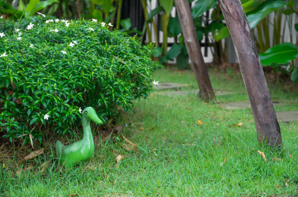 园艺的装修图片下载