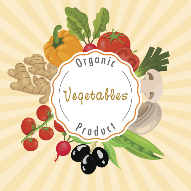 蔬菜矢量图图片下载