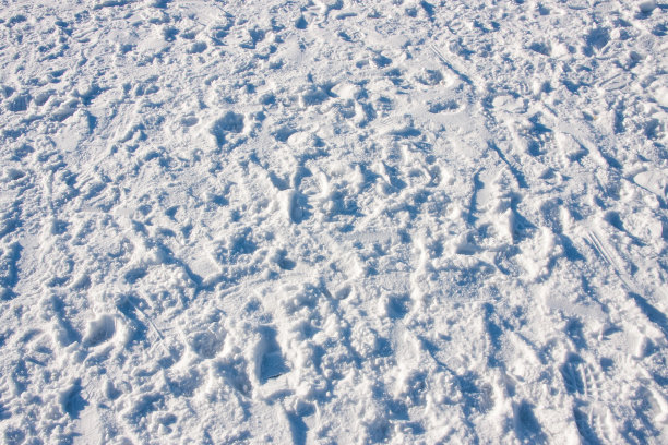 雪地里的脚印图片下载