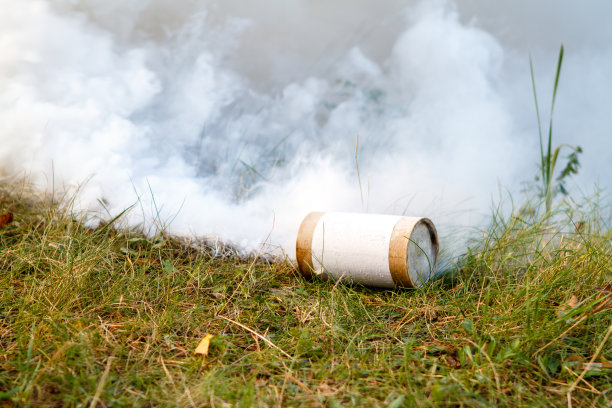 草地上有烟雾弹。图片下载