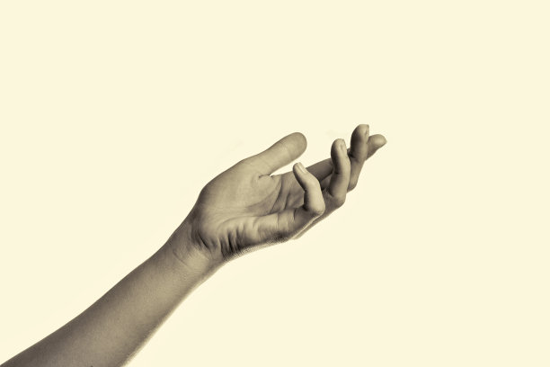 女人的手图片下载