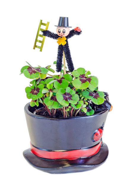 扫烟囱的人踩着绿色的酢浆草，有紫色的斑点图片下载