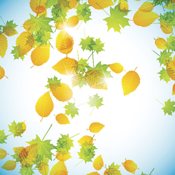 秋天背景图片下载