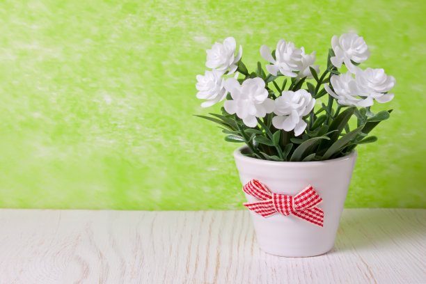 束鲜花图片下载