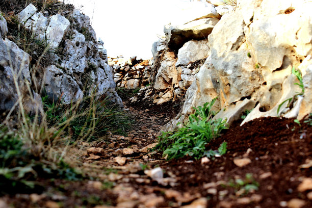 布朗沟图片下载