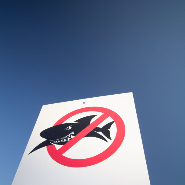 没有鲨鱼图片下载