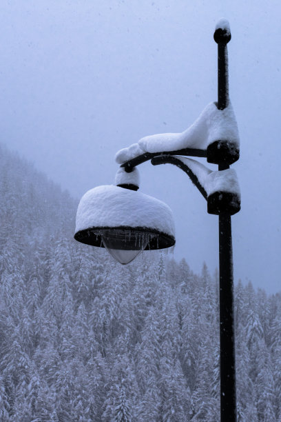雪覆盖的灯柱在暴风雪中把风景变成雪白图片下载