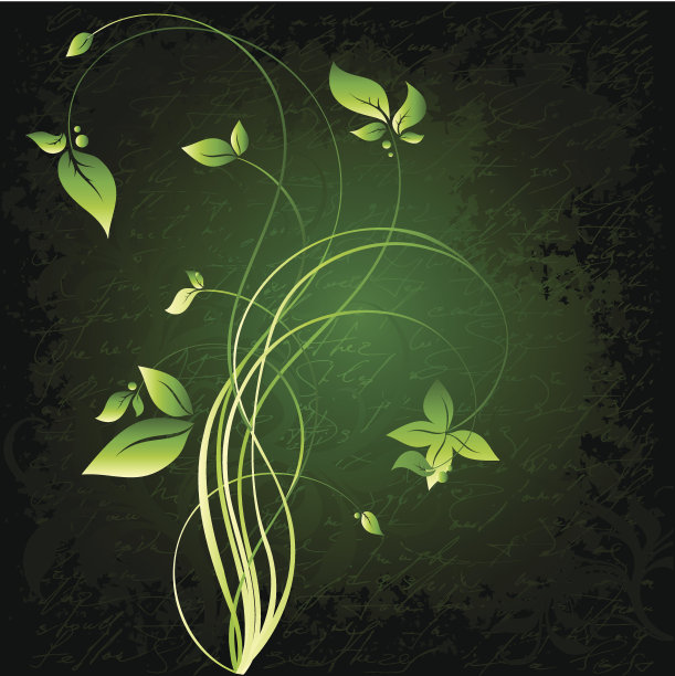 花的框架图片下载