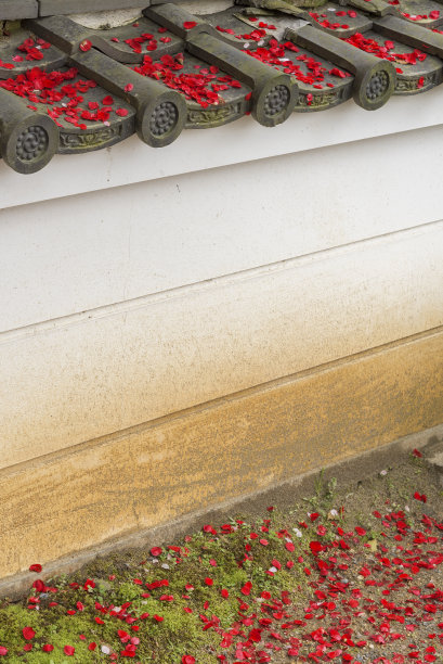 屋顶上枯萎的花图片下载