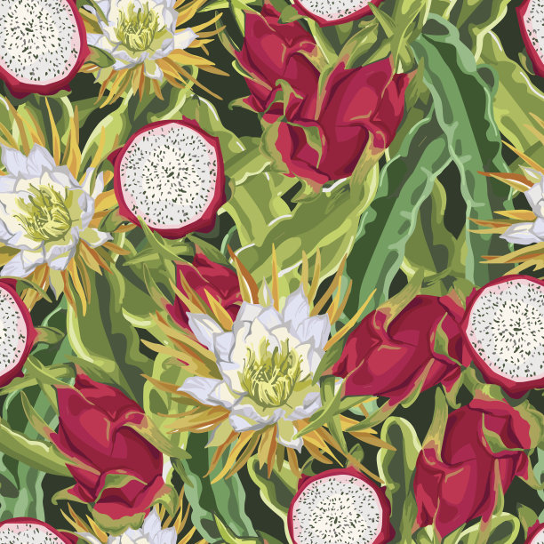 无缝图案的异国水果。龙的水果。图片下载