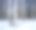 冬雪白桦林，水平图片下载
