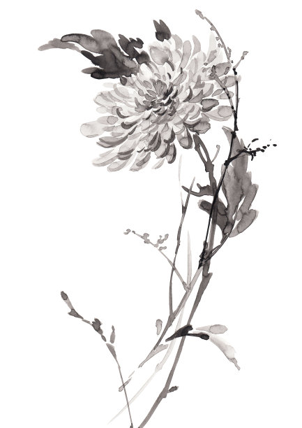 水墨风花卉插画素材图片