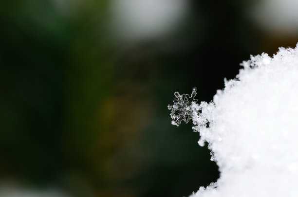 单晶雪花五彩缤纷图片下载