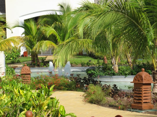 酒店的庭院图片下载