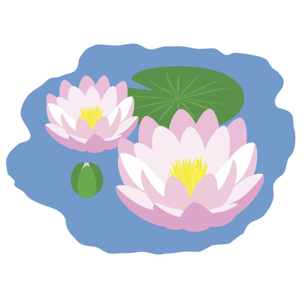 池塘里有百合花素材图片