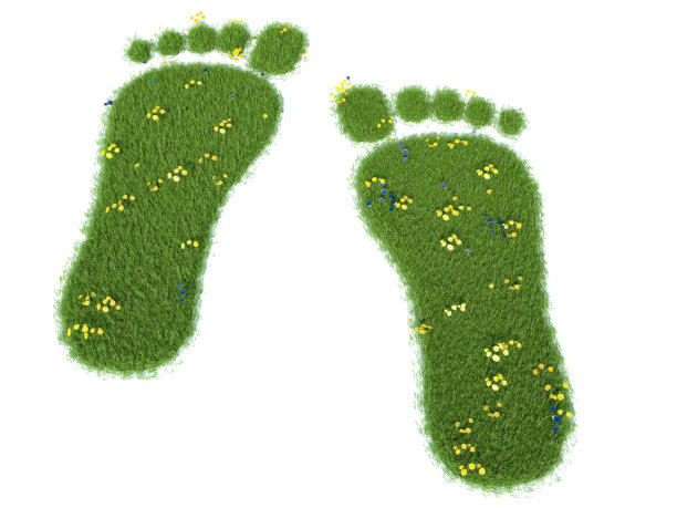 绿草生长的脚印图片下载
