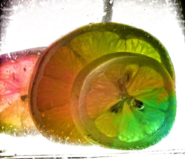 柑橘类水果图片下载