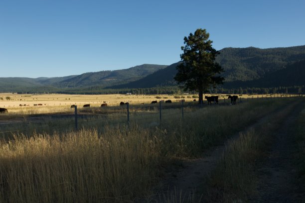 农场的土地图片下载