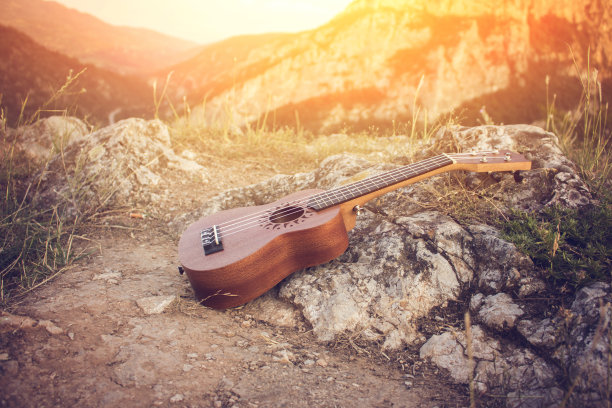 四弦琴在岩石上图片下载