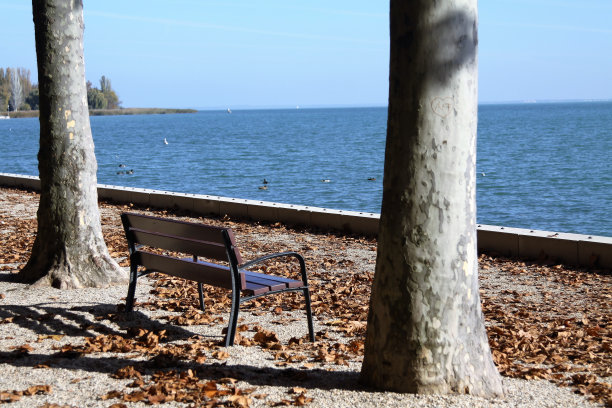巴拉顿湖岸边的空躺椅图片下载