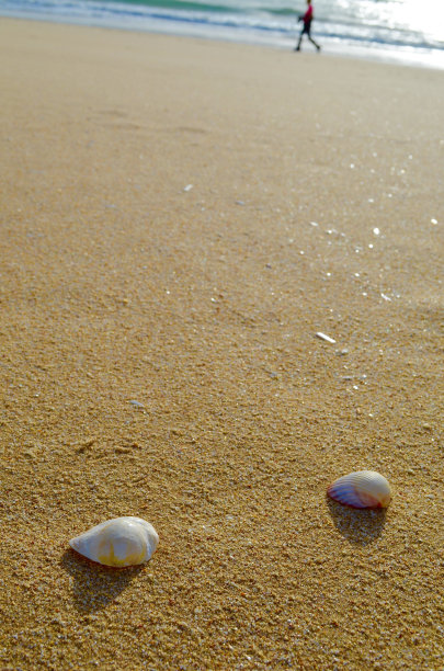 阿尔加维海滩图片下载