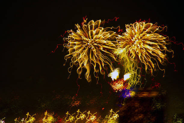 烟花——菲律宾宿务岛图片下载