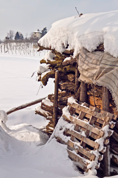 户外木库存与雪图片下载