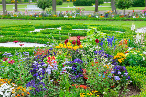 夏天的花坛和草坪素材图片