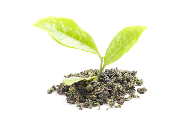 鲜茶分支及产品图片下载