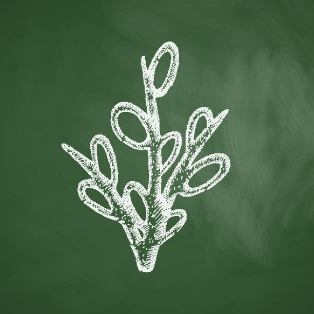 柳树图标图片下载