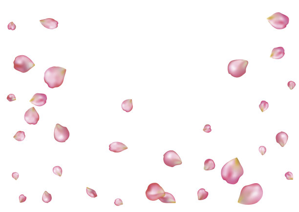 抽象背景与飞舞的粉色玫瑰花瓣。素材图片