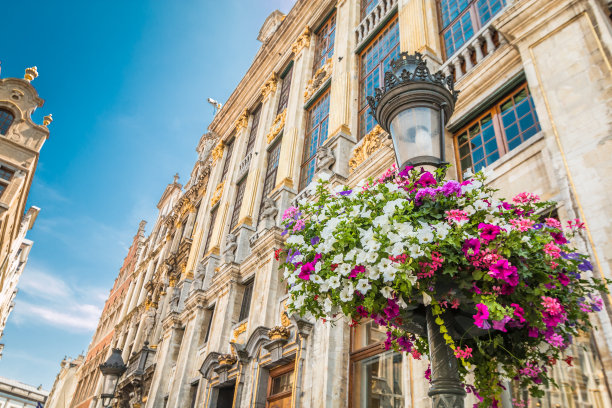 建筑在布鲁塞尔图片下载