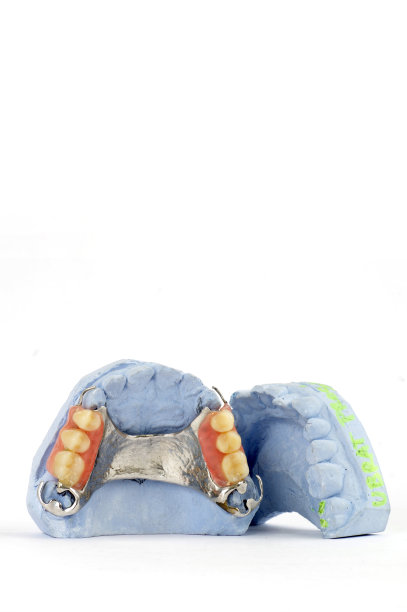 局部义齿对象静物图片下载