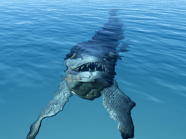 里佐杜斯图片下载