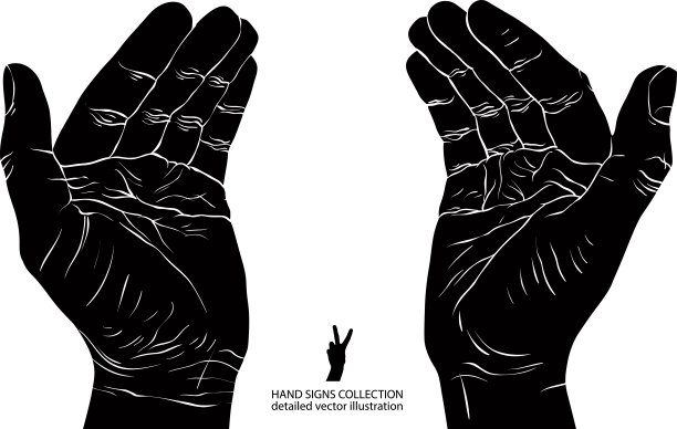 保护空手，放置一些小物件图片下载