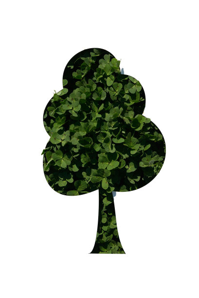 在纸上剪下一棵树，装在三叶草上图片下载