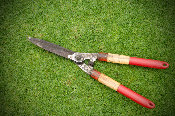 草老剪刀孤立图片下载