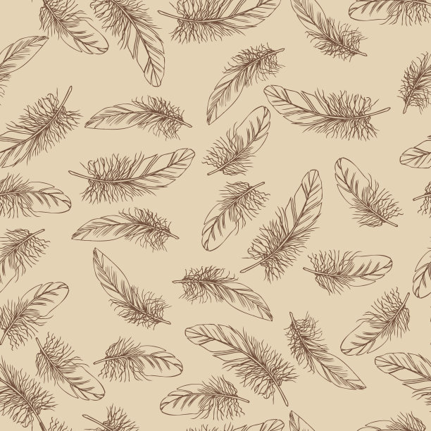 米色无缝图案与羽毛图片下载