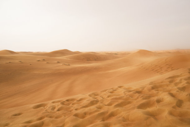 迪拜的沙漠之沙图片下载