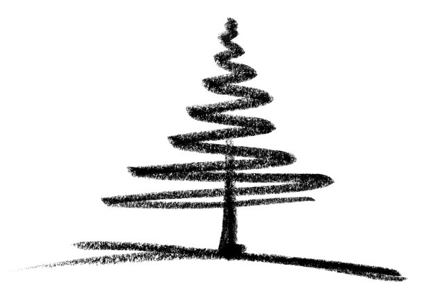 针叶树草图图片下载