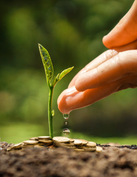 诚信图片素材ID：123076420