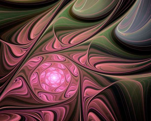 摘要分形设计。黑色的玫瑰花。图片下载