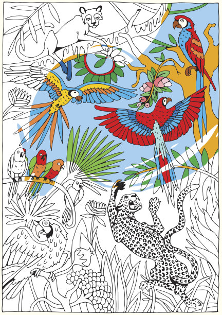 丛林里的豹和鹦鹉。热带野生动物主题。图片下载
