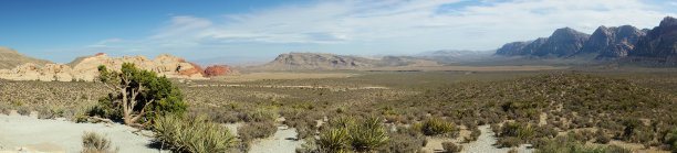 沙漠和红色岩层。拉斯维加斯,内华达州图片下载