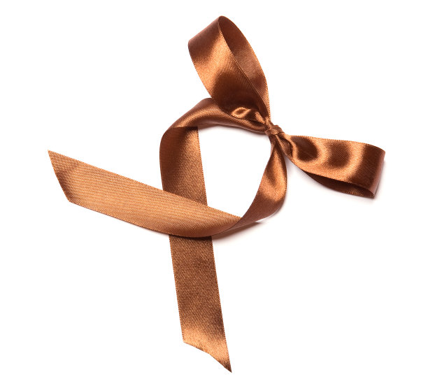 闪亮的棕色缎带和蝴蝶结在白色的背景图片下载
