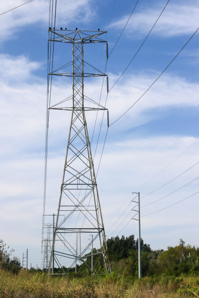 佛罗里达中部电力公司图片下载