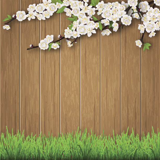草和春天的樱桃枝在棕色的老木头背景上图片下载
