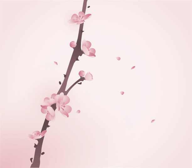 春天的樱花素材图片