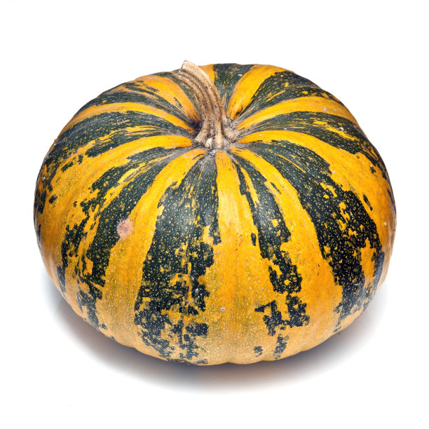 白色背景上的杂色南瓜。图片下载